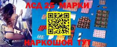 гидропоника Дубна