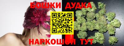 гидропоника Дубна